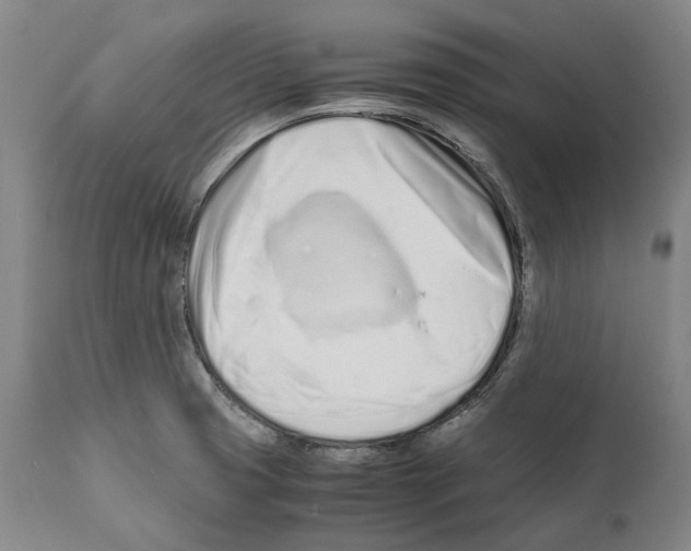 X0000112371425200909241139