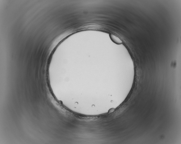 X0000112371426200909241139