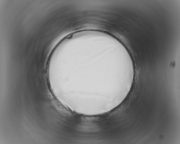 X0000112371427200909241139