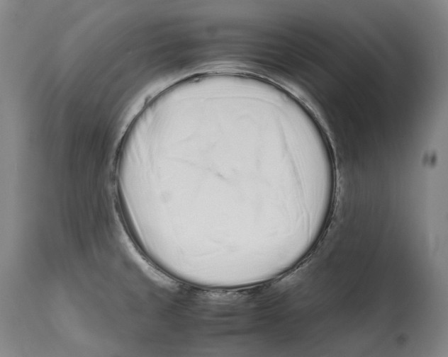 X0000112371429200909241139