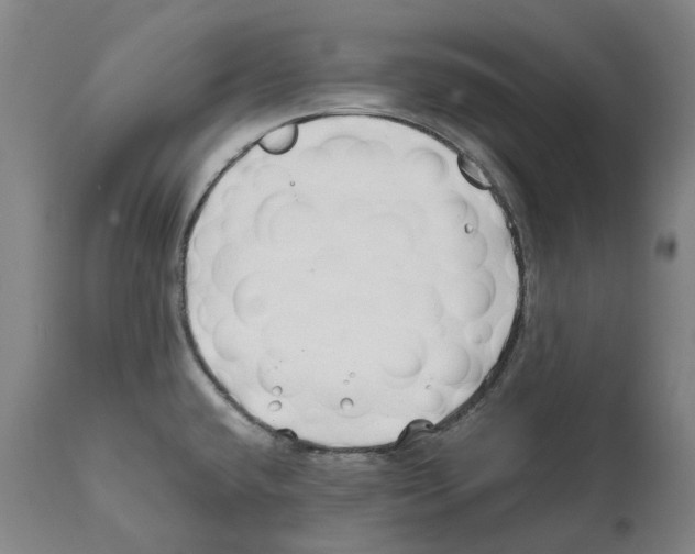 X0000112371432200909241139