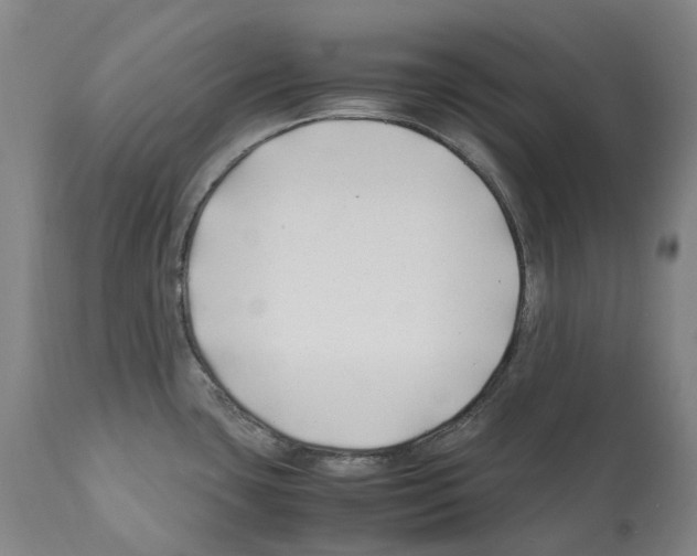 X0000112371435200909241139