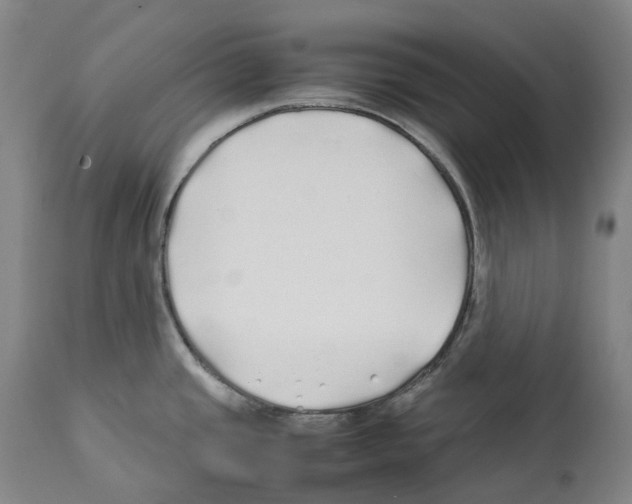 X0000112371437200909241139