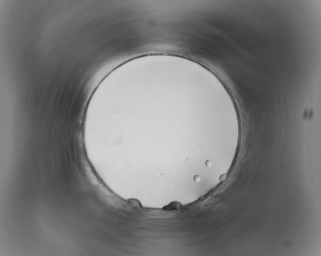 X0000112371440200909241139