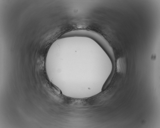 X0000112371443200909241138
