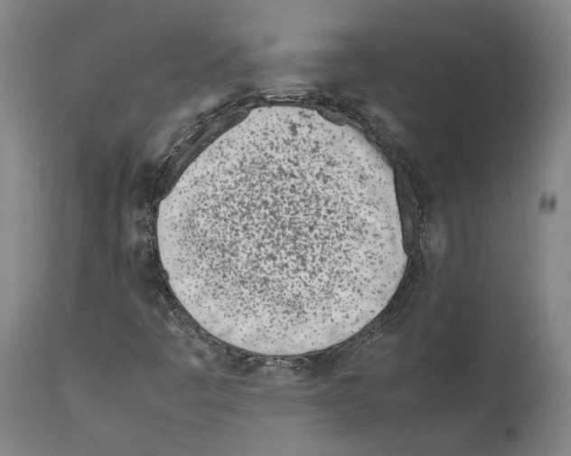 X0000112371445200909241138