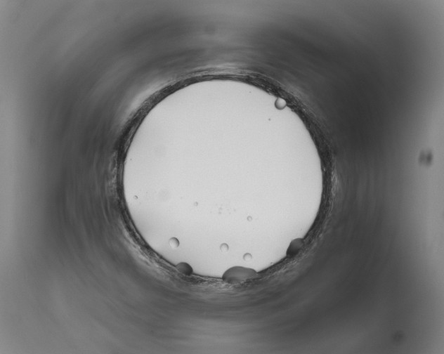 X0000112371450200909241138