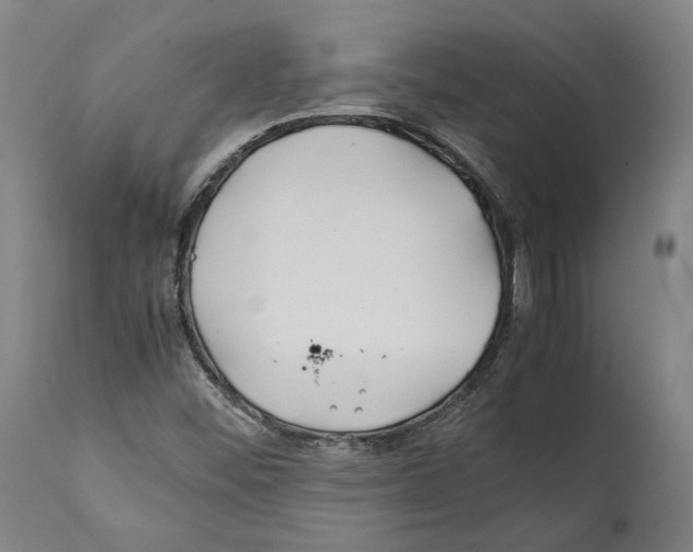X0000112371452200909241138