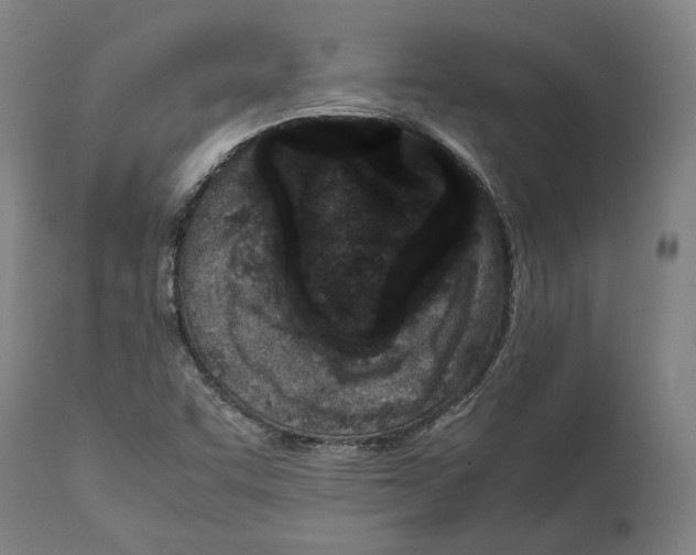 X0000112371455200909241138