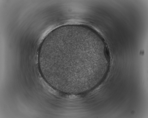 X0000112371459200909241138