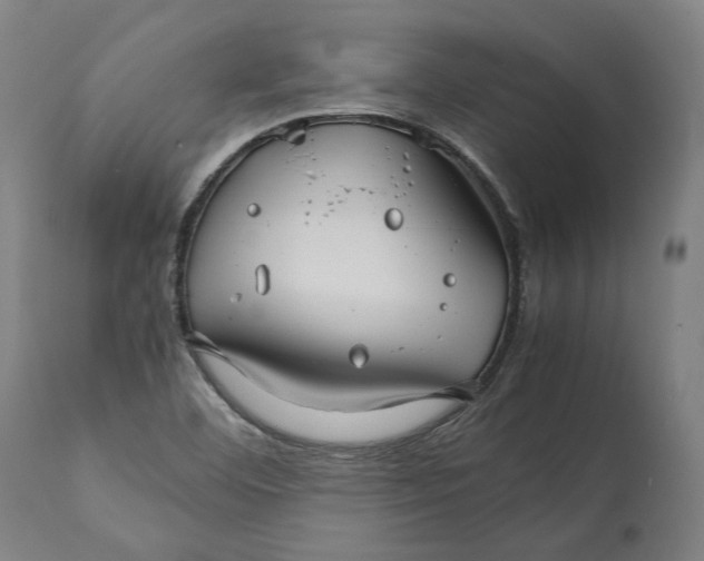 X0000112371460200909241138