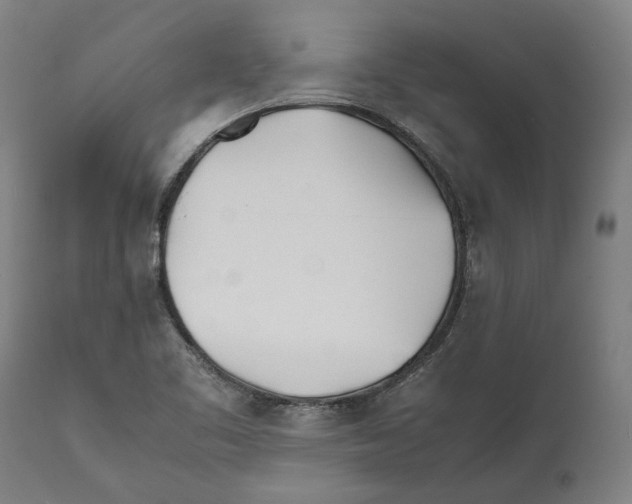 X0000112371461200909241138