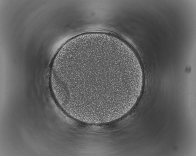 X0000112371463200909241138