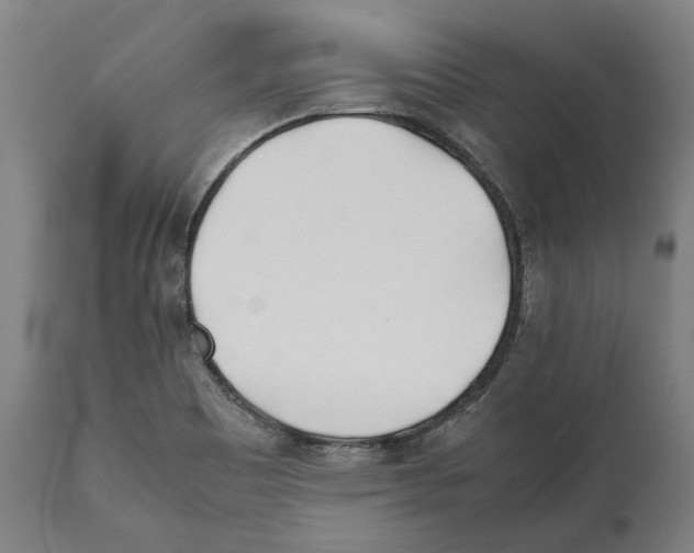 X0000112371465200909241138