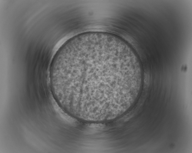 X0000112371466200909241138