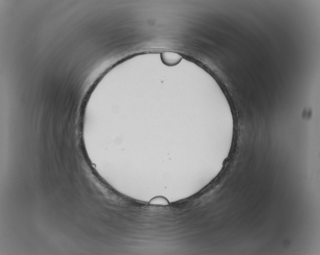X0000112371469200909241138