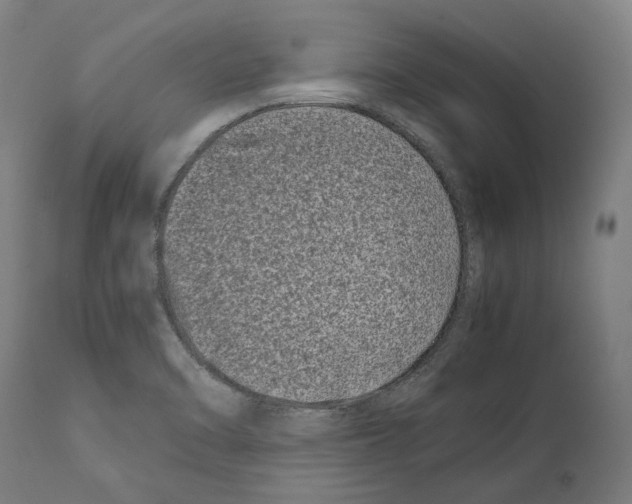 X0000112371470200909241138