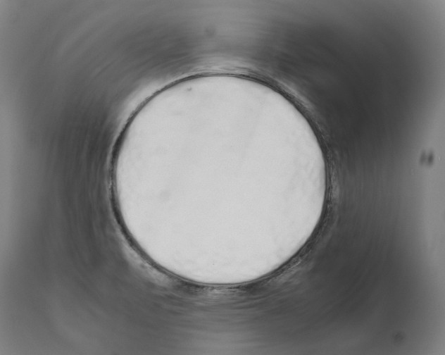 X0000112371471200909241138