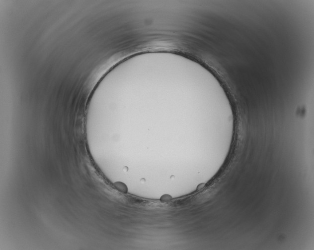 X0000112371473200909241138