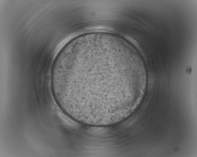 X0000112371474200909241138