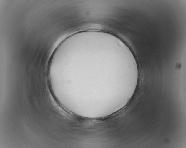 X0000112371475200909241138