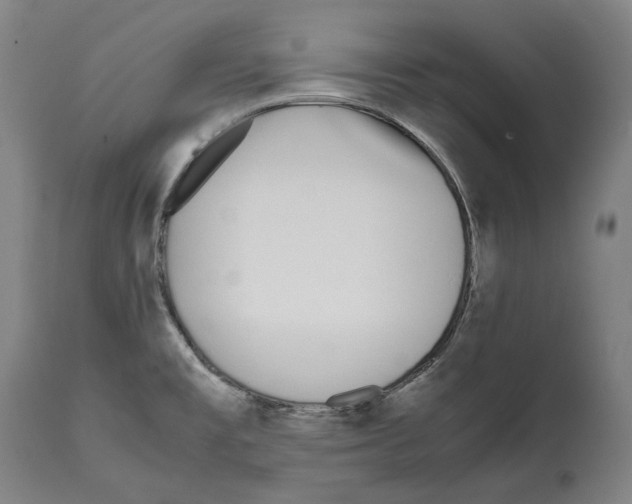 X0000112371477200909241138