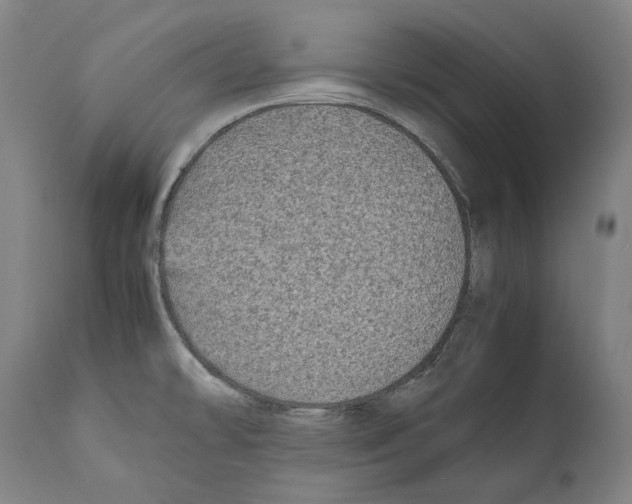 X0000112371478200909241138