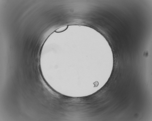 X0000112371479200909241138