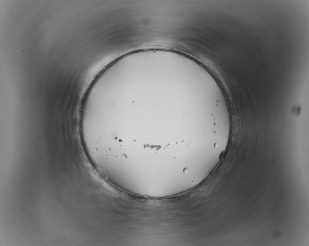 X0000112371480200909241138