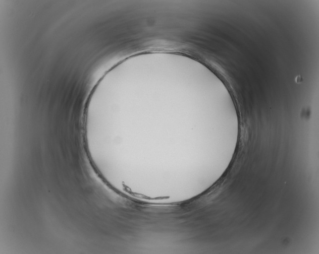 X0000112371487200909241138