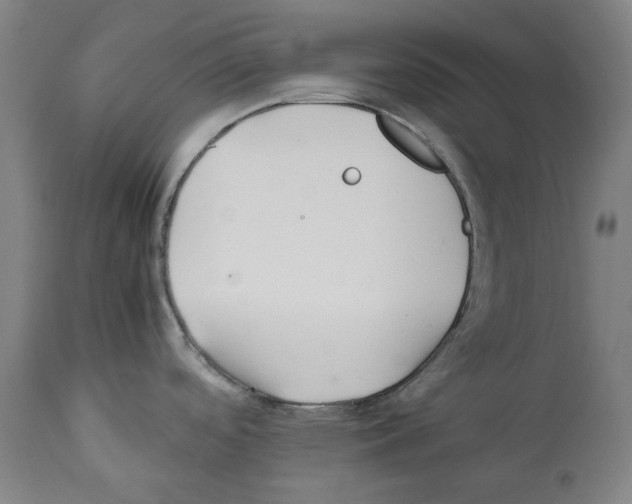 X0000112371488200909241138