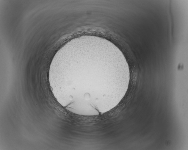 X0000112371489200909241137