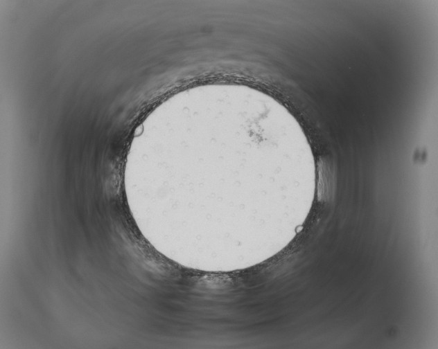 X0000112371491200909241137