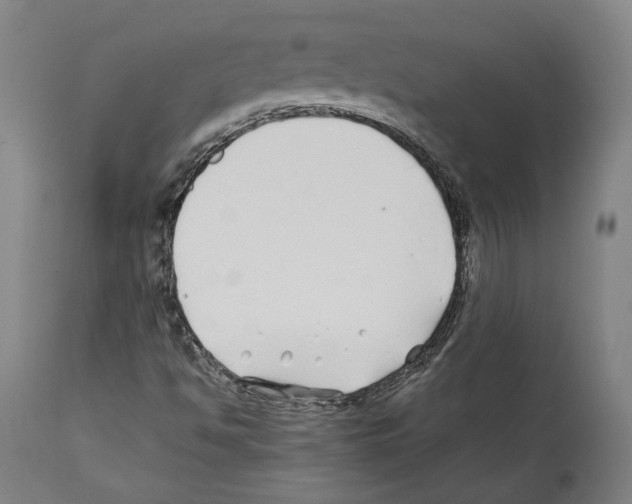 X0000112371494200909241137