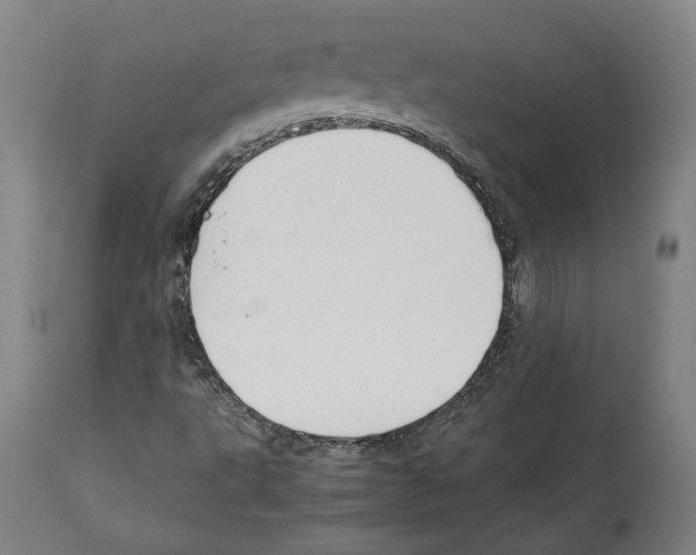 X0000112371495200909241137