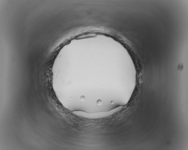 X0000112371496200909241137