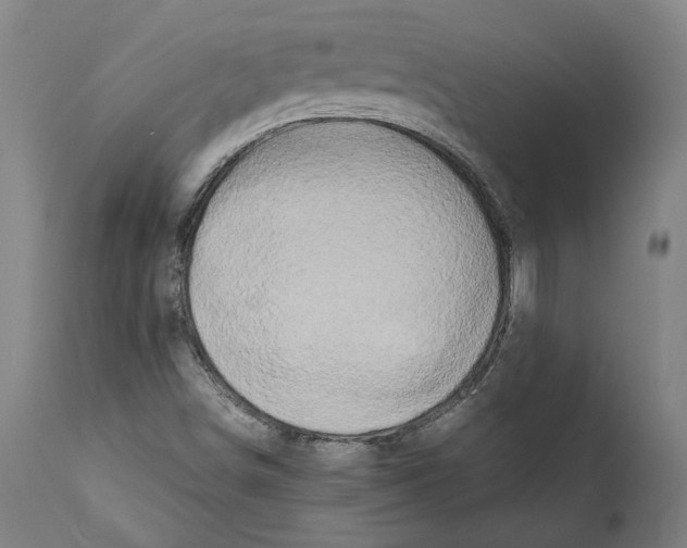 X0000112371498200909241137