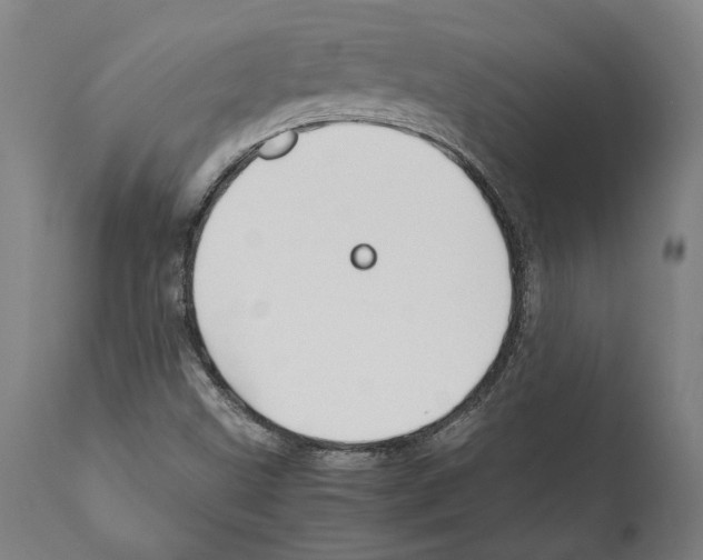 X0000112371499200909241137