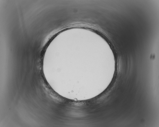 X0000112371501200909241137