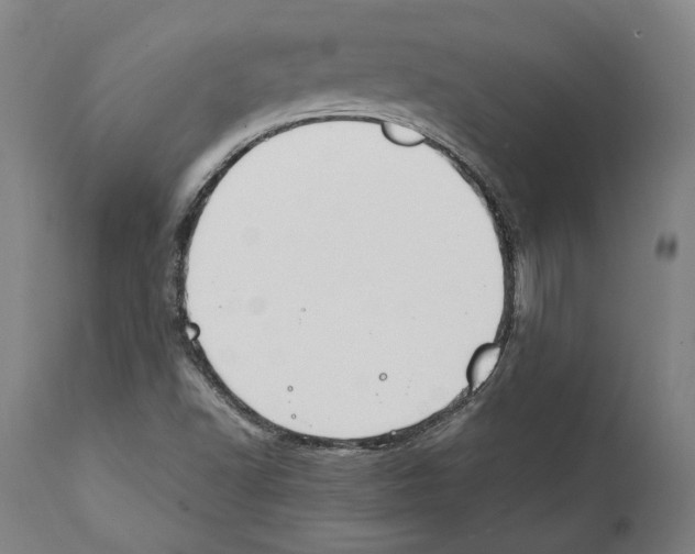 X0000112371502200909241137