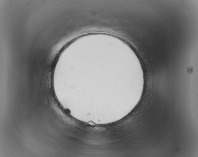 X0000112371503200909241137