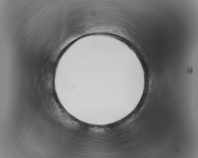 X0000112371505200909241137