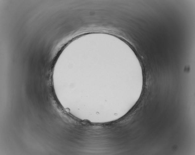 X0000112371507200909241137