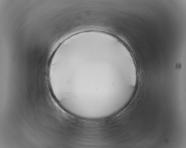 X0000112371508200909241137