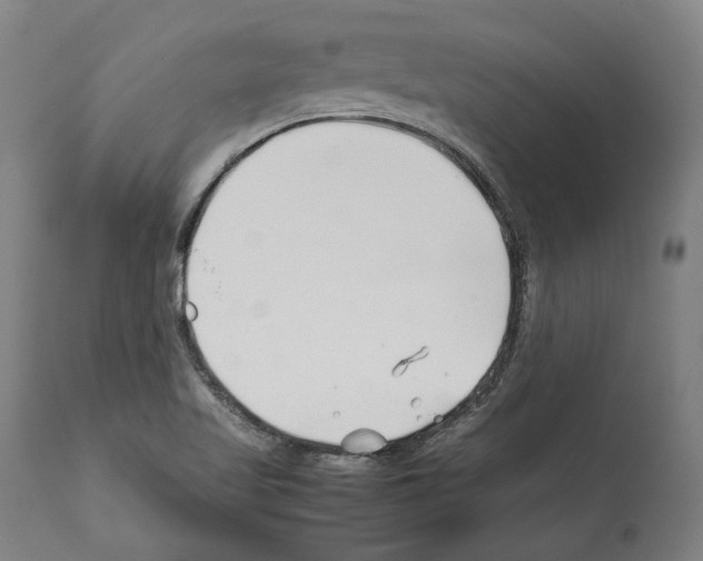 X0000112371509200909241137
