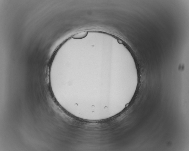 X0000112371510200909241137