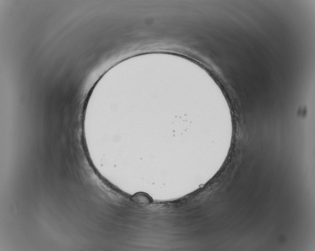X0000112371512200909241137