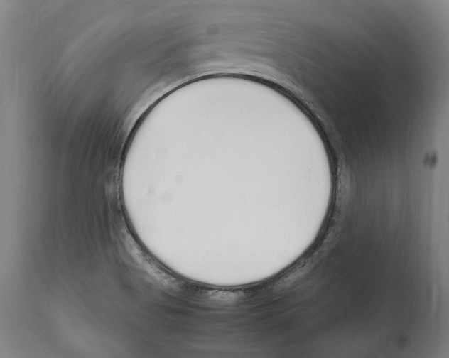 X0000112371513200909241137