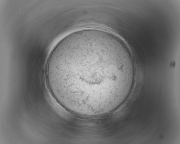 X0000112371514200909241137