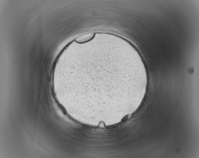 X0000112371515200909241137